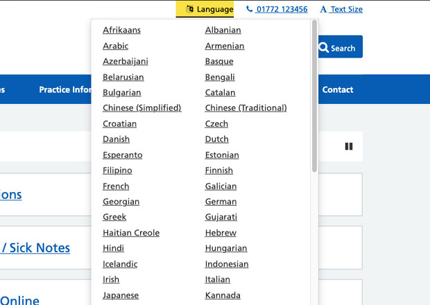 translate langauges